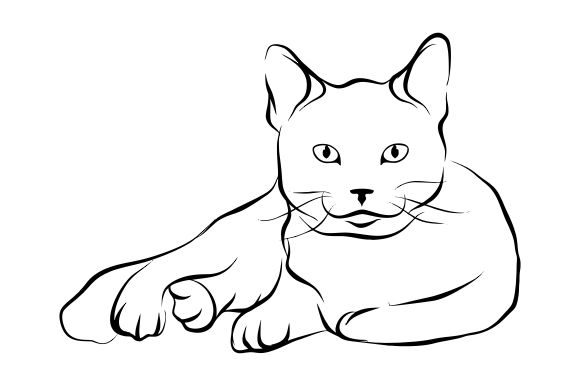 Download Cat Line Art Vector - Vector Collection