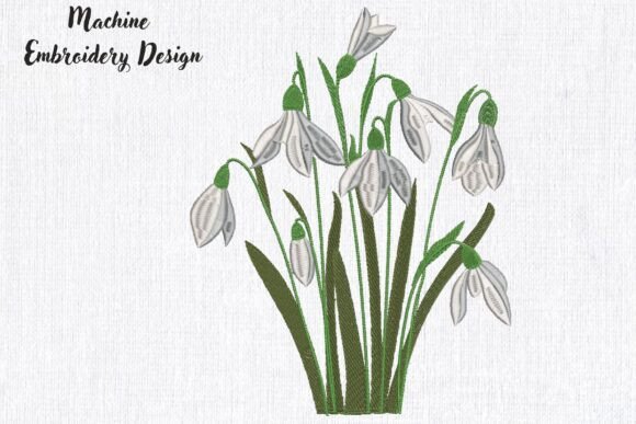 Download White Flowers Snowdrops - Snowdrops Collection