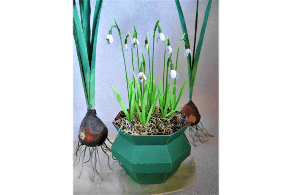 Download Snowdrops - Snowdrops Collection