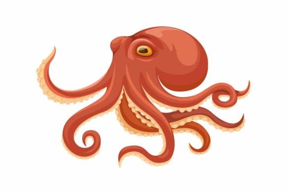 Download Octopus Aquatic Animal Cartoon Vector - Vector Collection